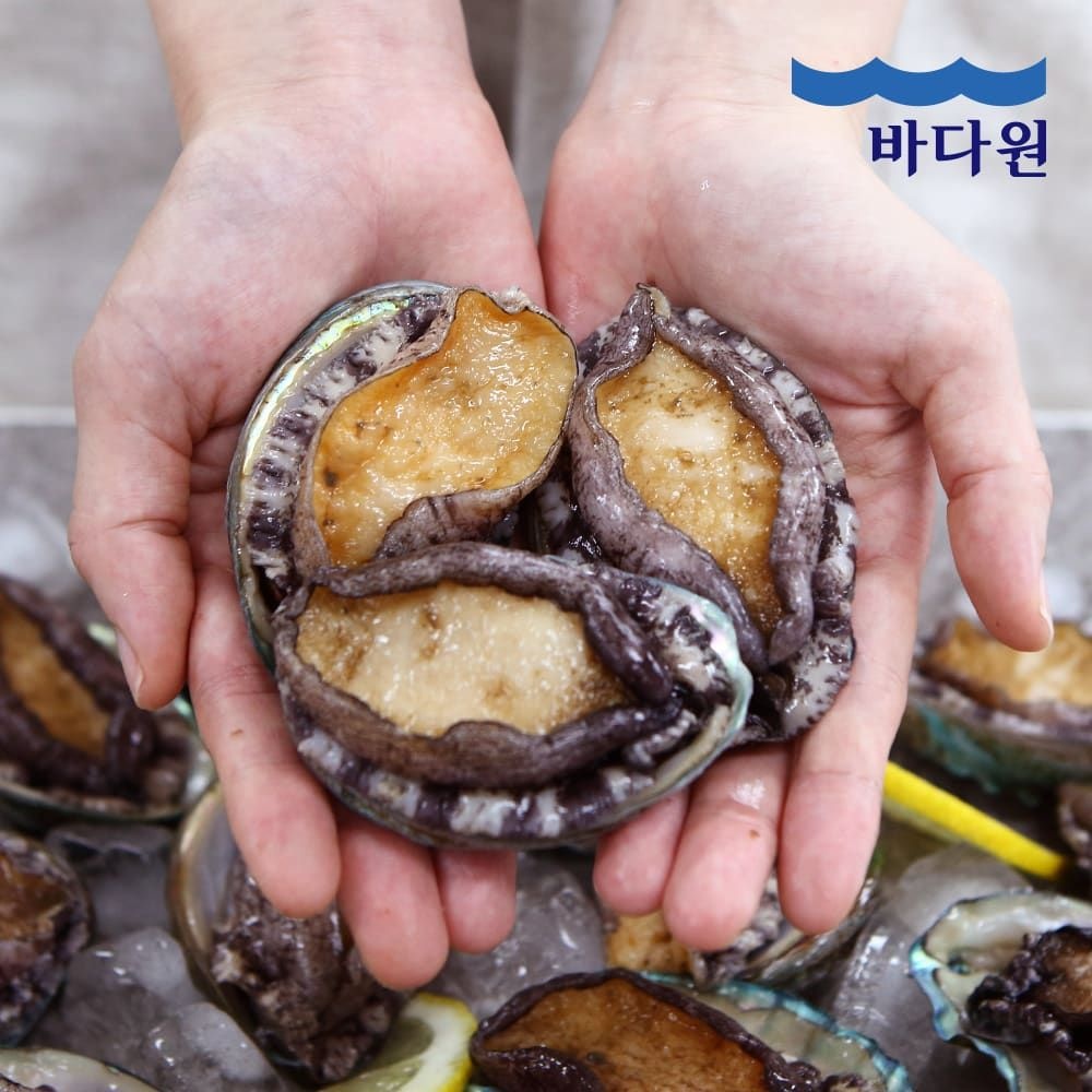 바다원 (현대Hmall) 바다원 산지직송 완도 활전복 1kg (17-18미 내외) 싱싱한 전복