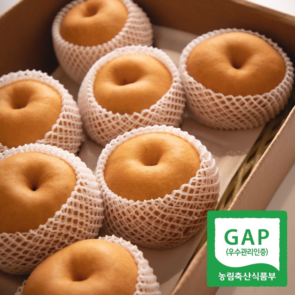 [롯데백화점] 과일꾼 30년 경력 김재명 농부 나주배 5kg 8-9과