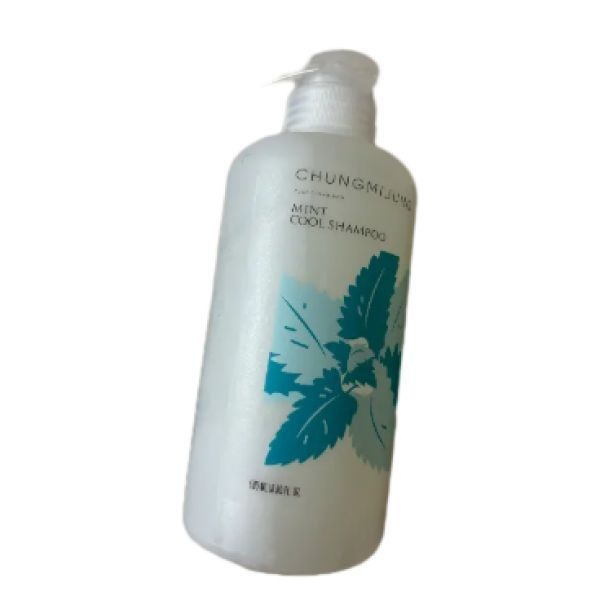 떡짐샴푸/Since2008 청미정 박하 쿨 샴푸 500ml 단품/기획