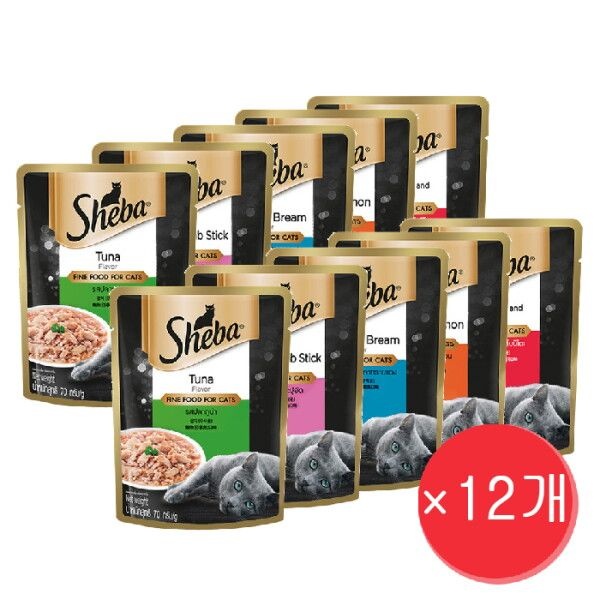 [쉬바] 고양이 습식 주식 캔 파우치 70g x 12개 세트