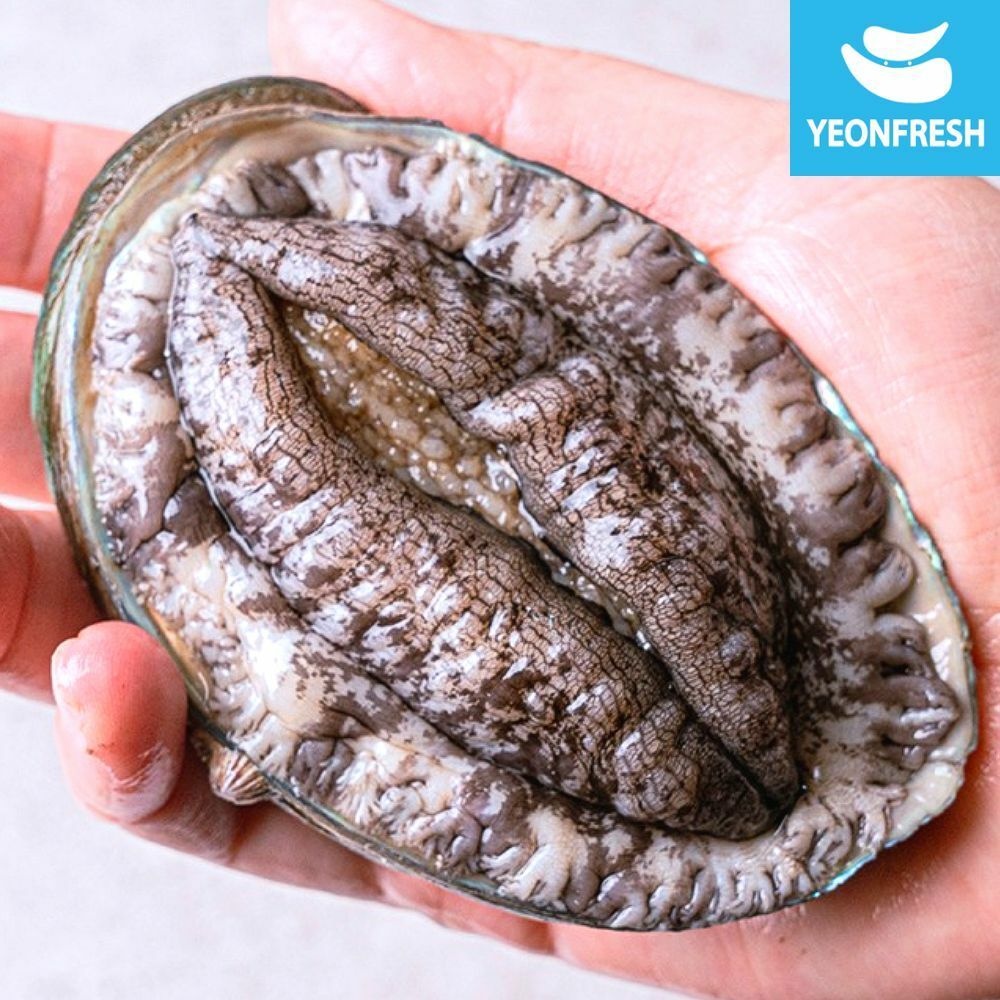완도활전복 1kg 21-30미(미당45g내외) [산소팩, 무료배송]
