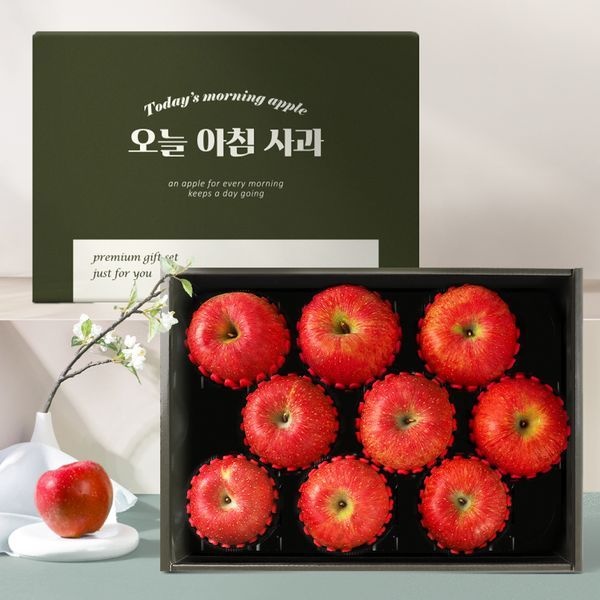 인정식탁 오늘아침사과 명품 사과선물세트 3kg 9과