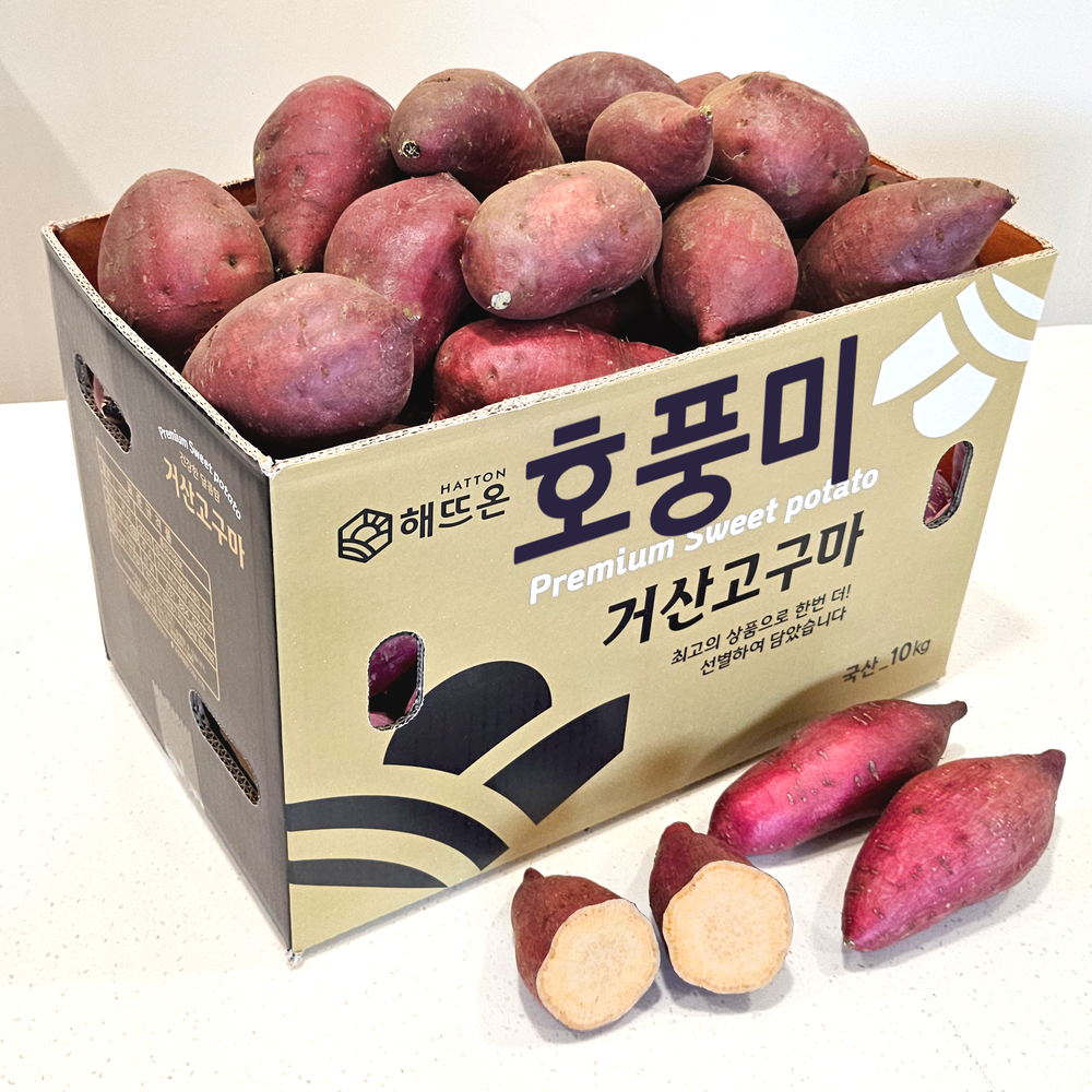 해뜨온 거산 호풍미고구마