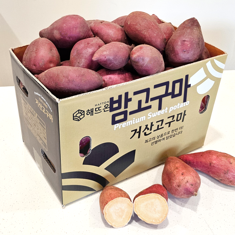 해뜨온 26년 햇고구마 밤고구마 햇밤고구마