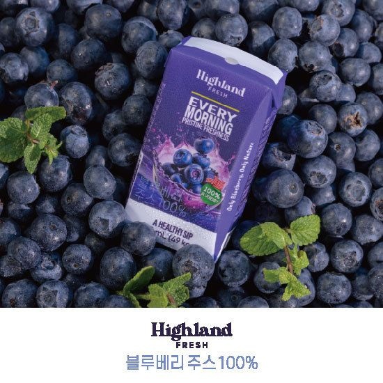 {백화점 상품} 하이랜드 프레쉬 100% 블루베리 착즙 주스 48팩 120mL 489414