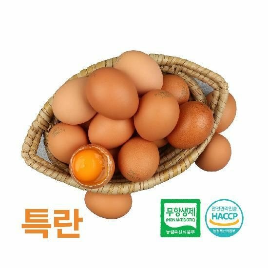 [알부자집] 무항생제 계란 특란 120구(30구X4판)