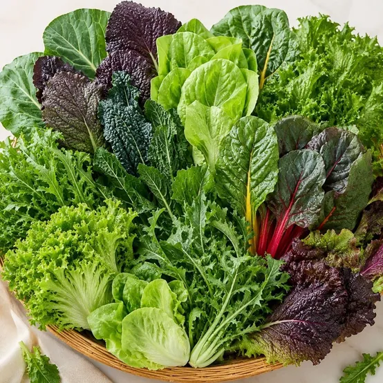 국내산 모듬 쌈채소 랜덤 500g 1kg 쌈밥 샐러드용 보냉포장