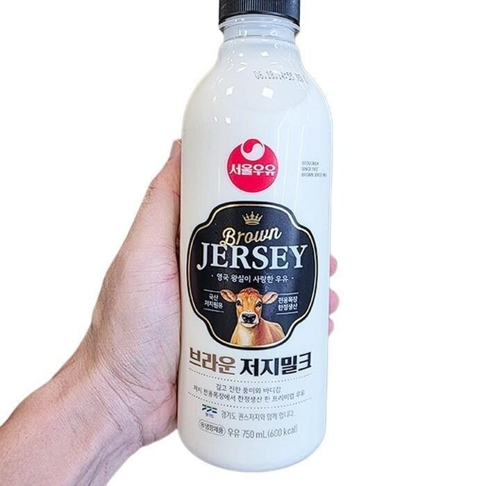 서울우류 브라운 저지 밀크 750ml x 1개 아이스박스포장 kk404171 (50910743)