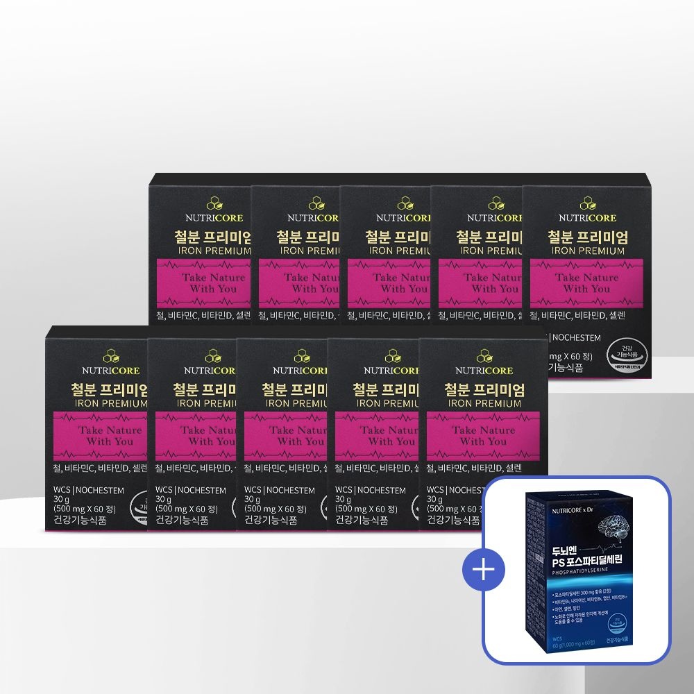 뉴트리코어 WCS 철분 프리미엄 남성 여성 철분제 노케스템 500mg x 60정, 10개 (20개월)