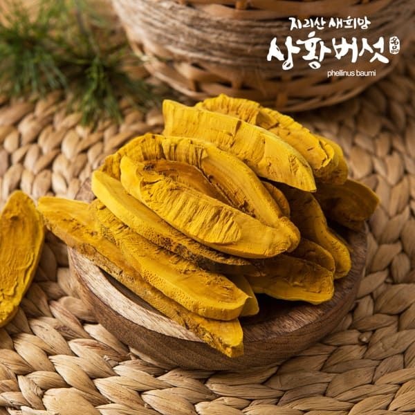 (현대Hmall) [지리산 새희망 상황버섯] 유기농 지리산 상황버섯(실속) 400g (특품)