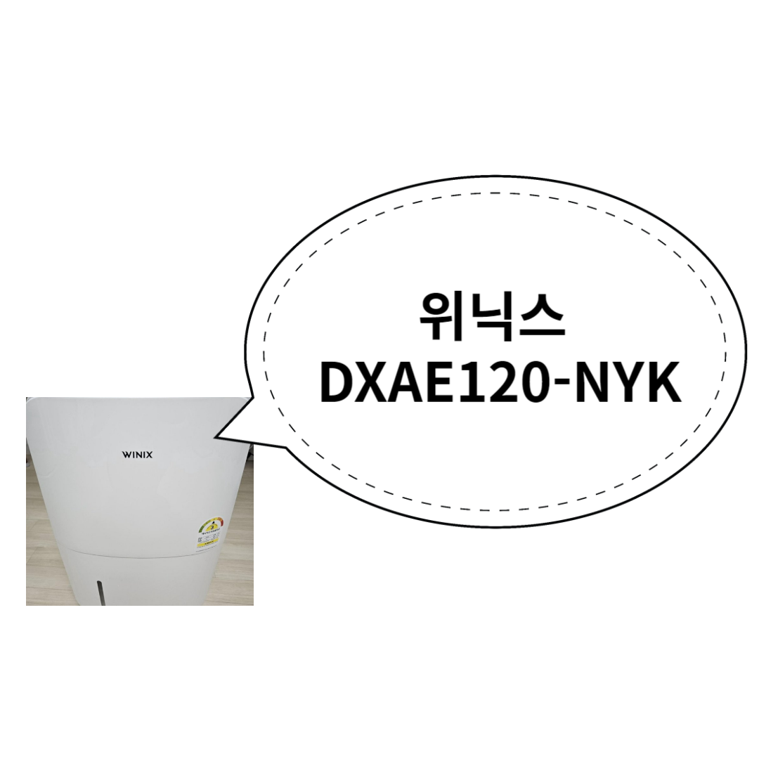 위닉스 DXAE120-NYK