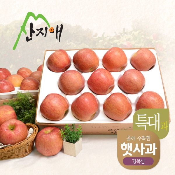 [햇사과] 산지애 알뜰 못난이사과(특대과) 4kg 2box