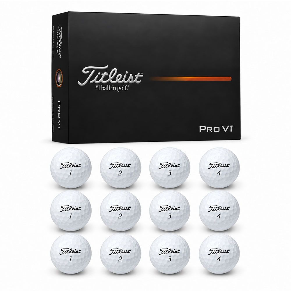 타이틀리스트 Pro V1 골프공 2025년 12개입 1다즌