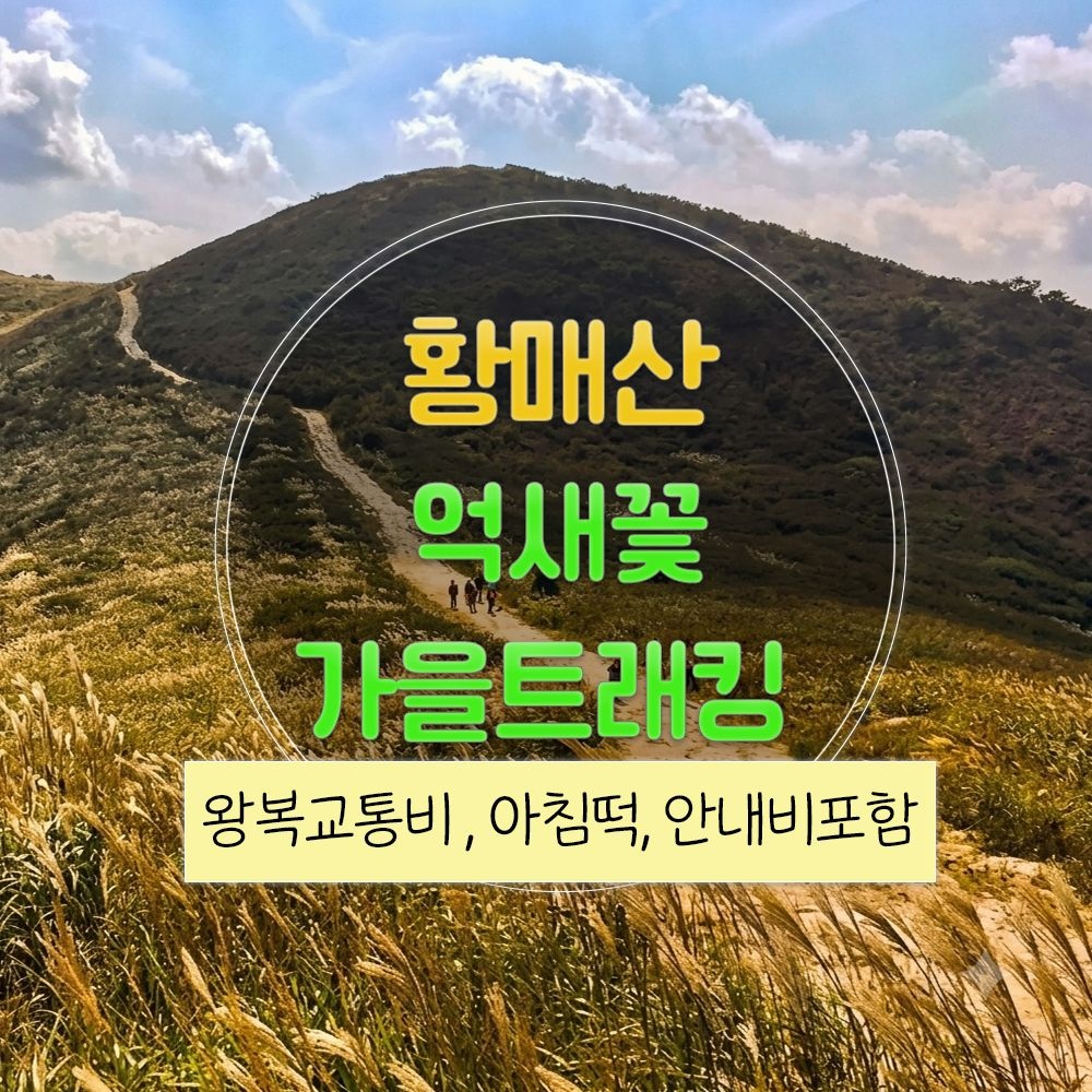 여행자클럽 [경남] 리무진버스 - 가을 황매산 억새꽃 트래킹 당일여행