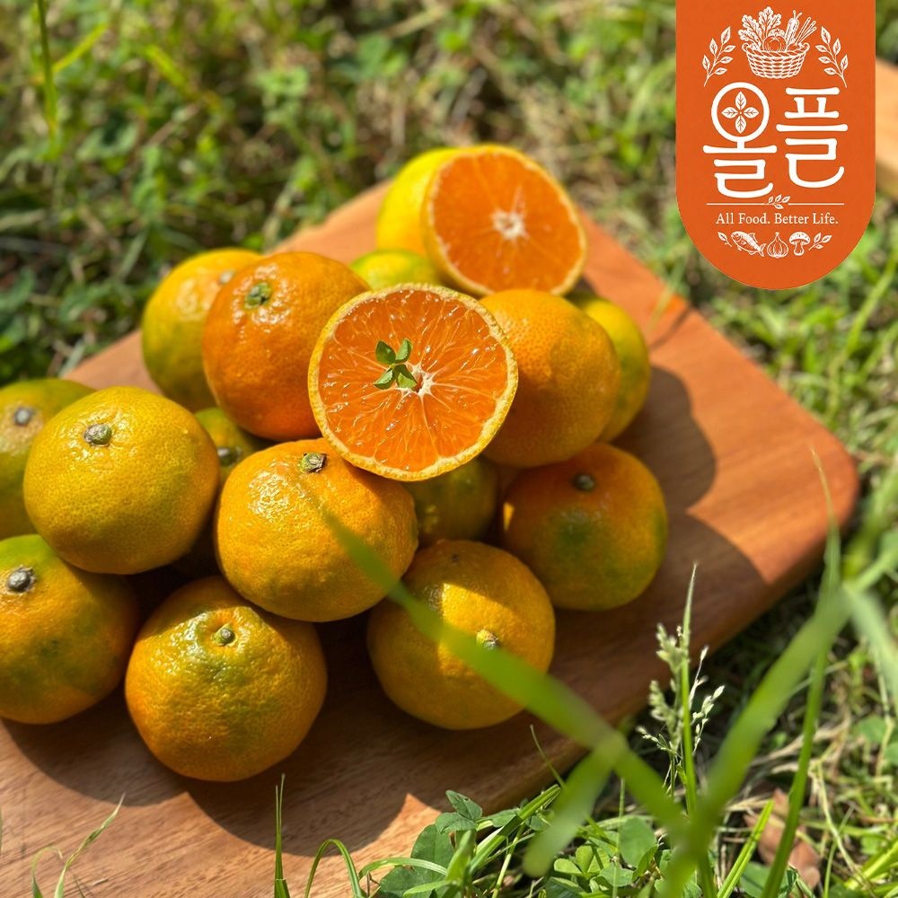 [올플] 제주직송! 제주 노지 감귤 2kg/3kg/5kg/5.5kg/10kg
