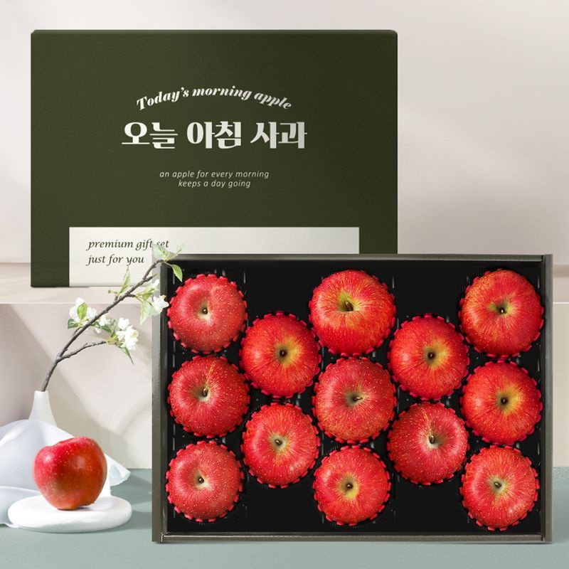 [오늘아침사과] 사과 선물세트 3kg 13과