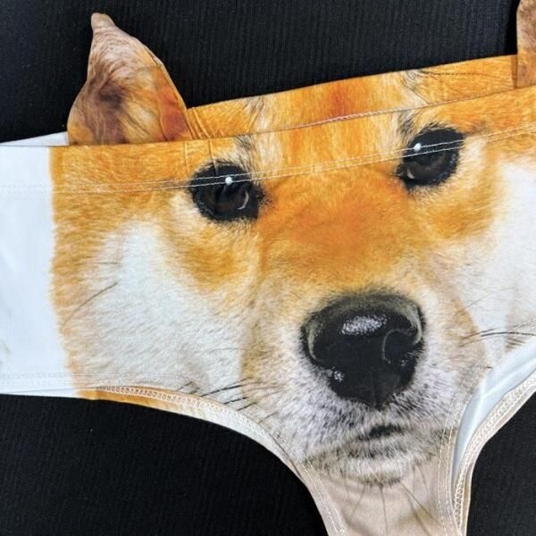 [셀러허브 언더웨어] 물끄럼 시바견 웃긴 팬티 킹받는 속옷 쓸데없는 쓸모없는 웃긴 선물 신박한