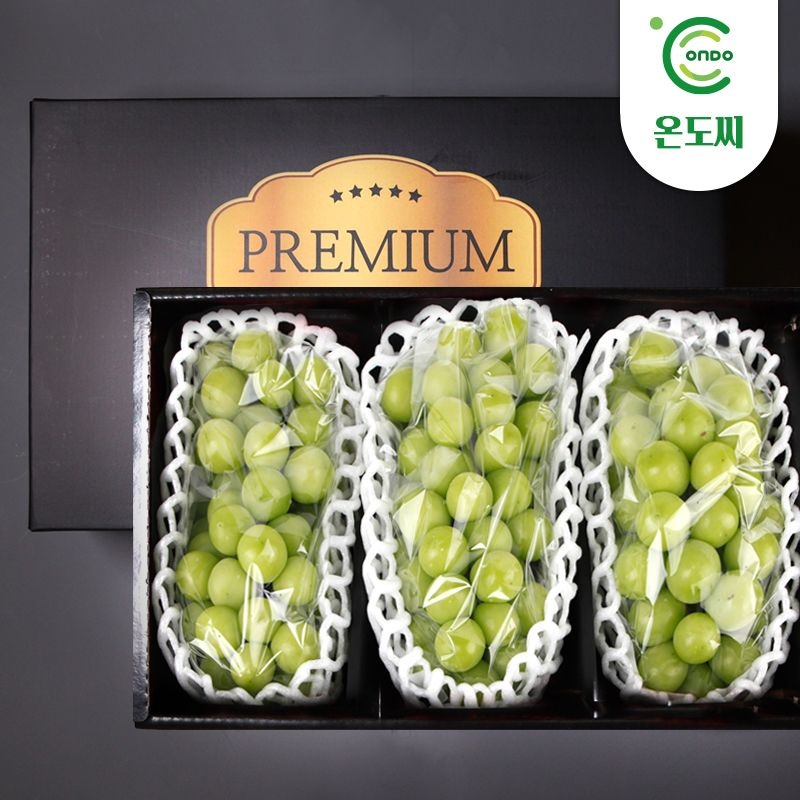 [롯데백화점] 온도씨 경북 김천 고당도 샤인머스캣 선물세트 2kg 3수