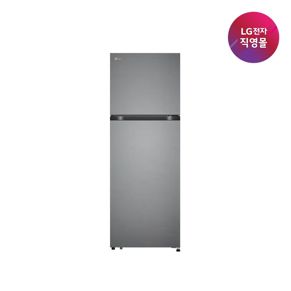 LG전자 [LG전자 직영] LG 일반냉장고 B245DS22