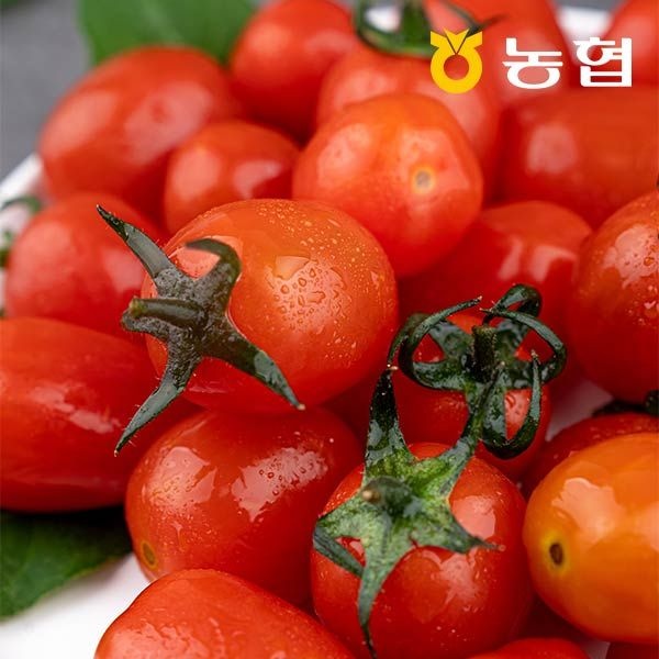 [롯데백화점] 자연맛남 농협선별 부여 대추 방울토마토 2kg 로얄과(1-3번) 굿뜨래