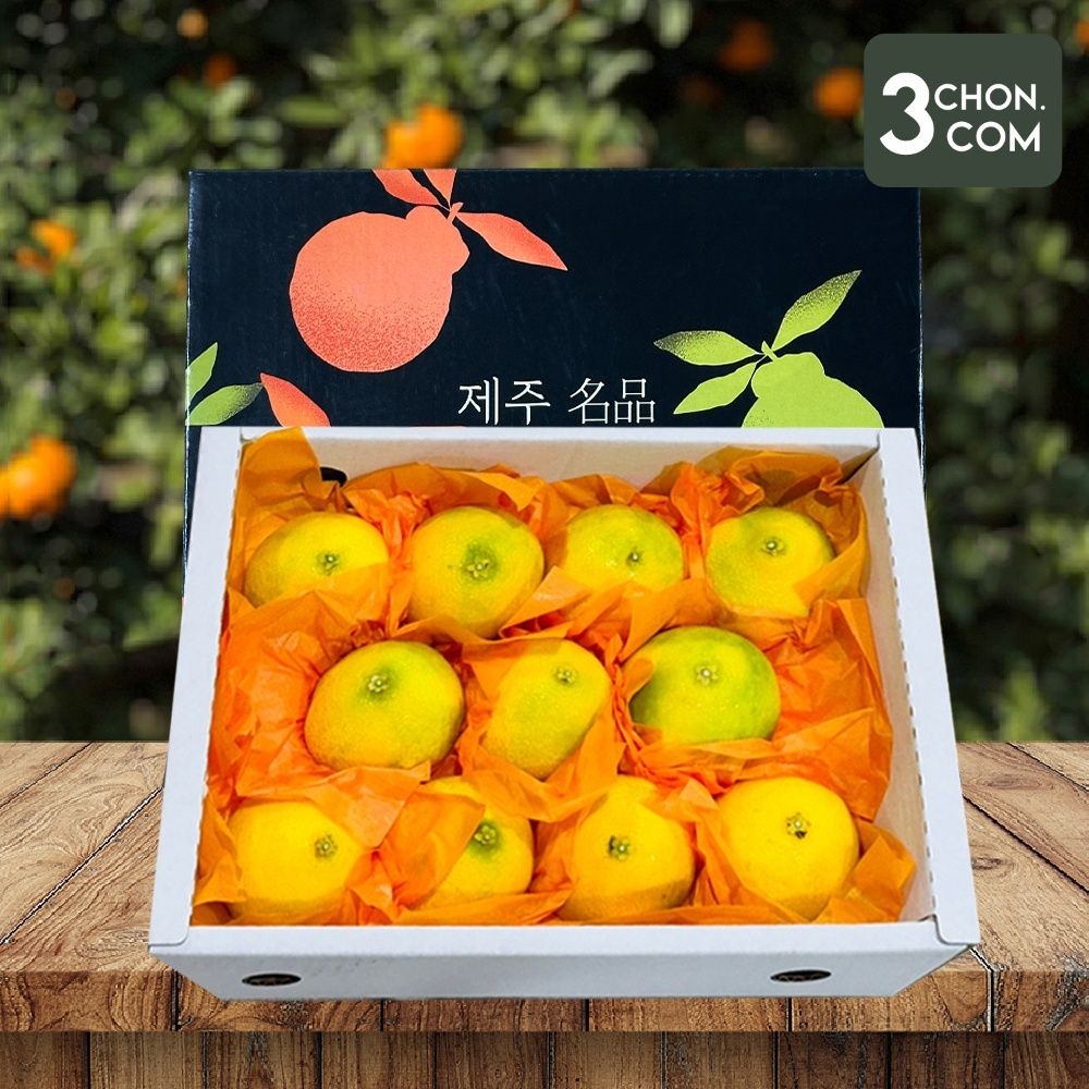 [롯데백화점] 삼촌밥먹자 탐나는 제주 프리미엄 황금향 선물세트 1.5kg 소과