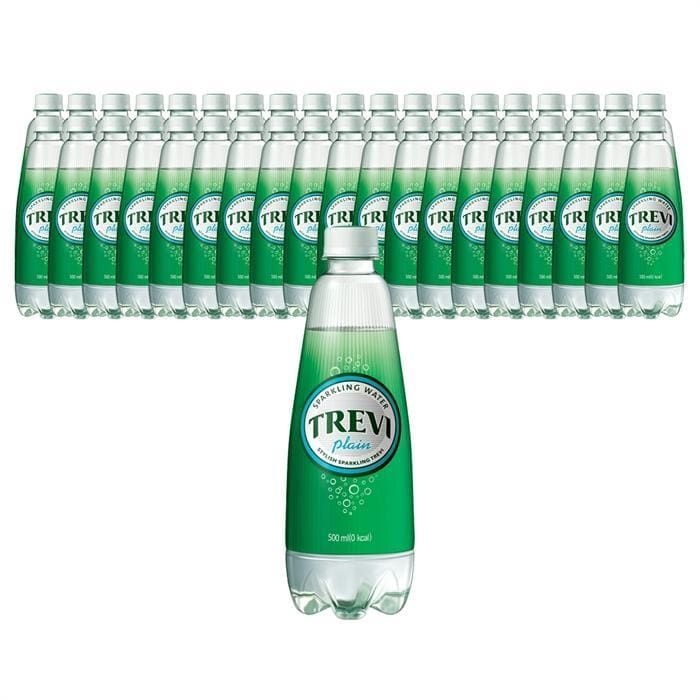 (현대Hmall) 롯데칠성음료 트레비 플레인 500ml 40개