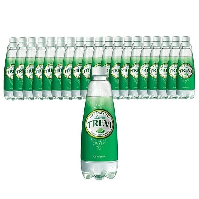 (현대Hmall) 롯데칠성음료 트레비 라임 500ml 40개
