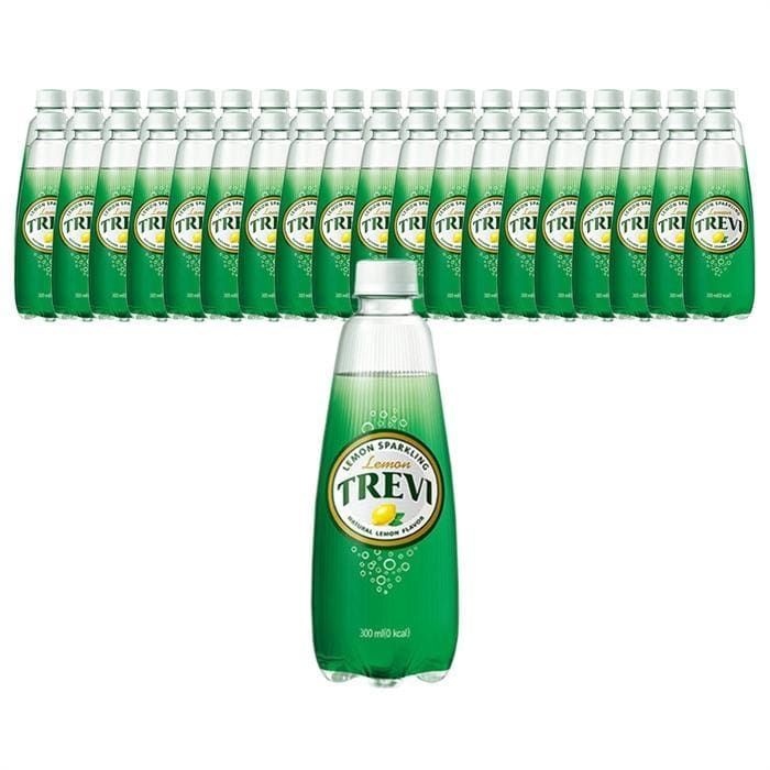 (현대Hmall) 롯데칠성음료 트레비 레몬 500ml 40개