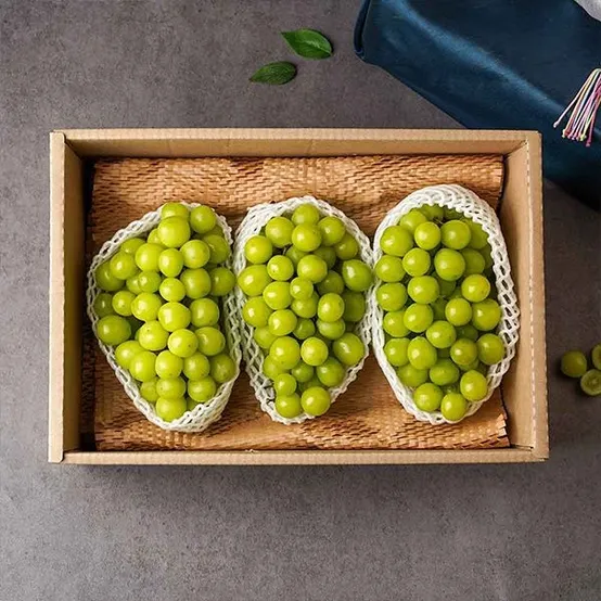 정성가득 샤인머스켓 과일세트(1.5kg 3수)