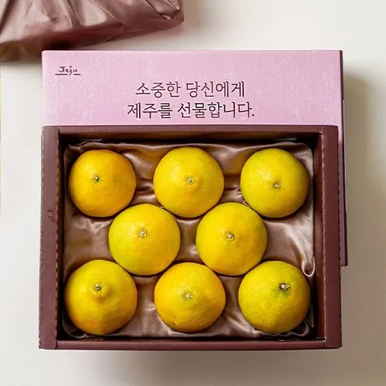 제주 황금향 1.6kg (8과내외/보자기난좌+동봉) 과일 선물세트