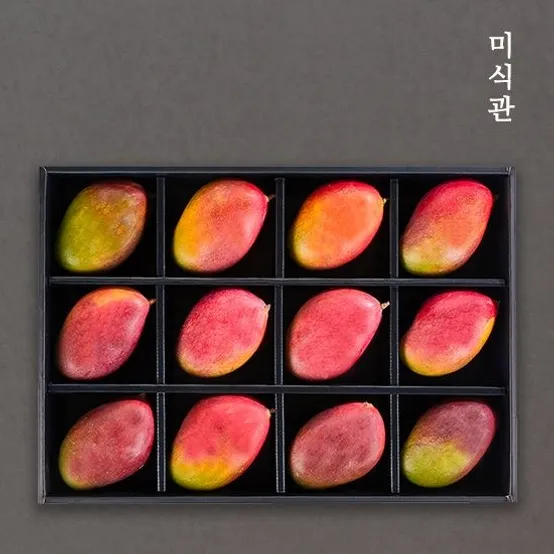 프리미엄 애플망고 선물세트 1호(12과/4.8kg내외 개당400g)