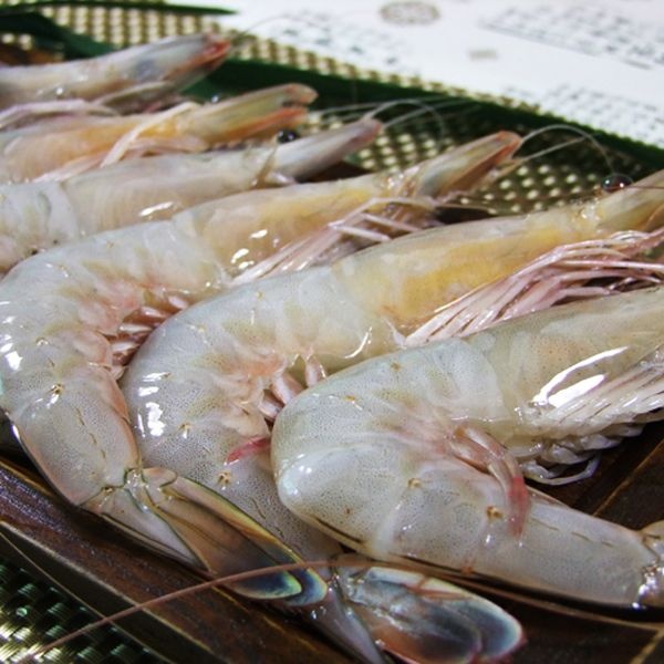 태안 자연산대하 1kg(30미내외/급냉) + 천일염