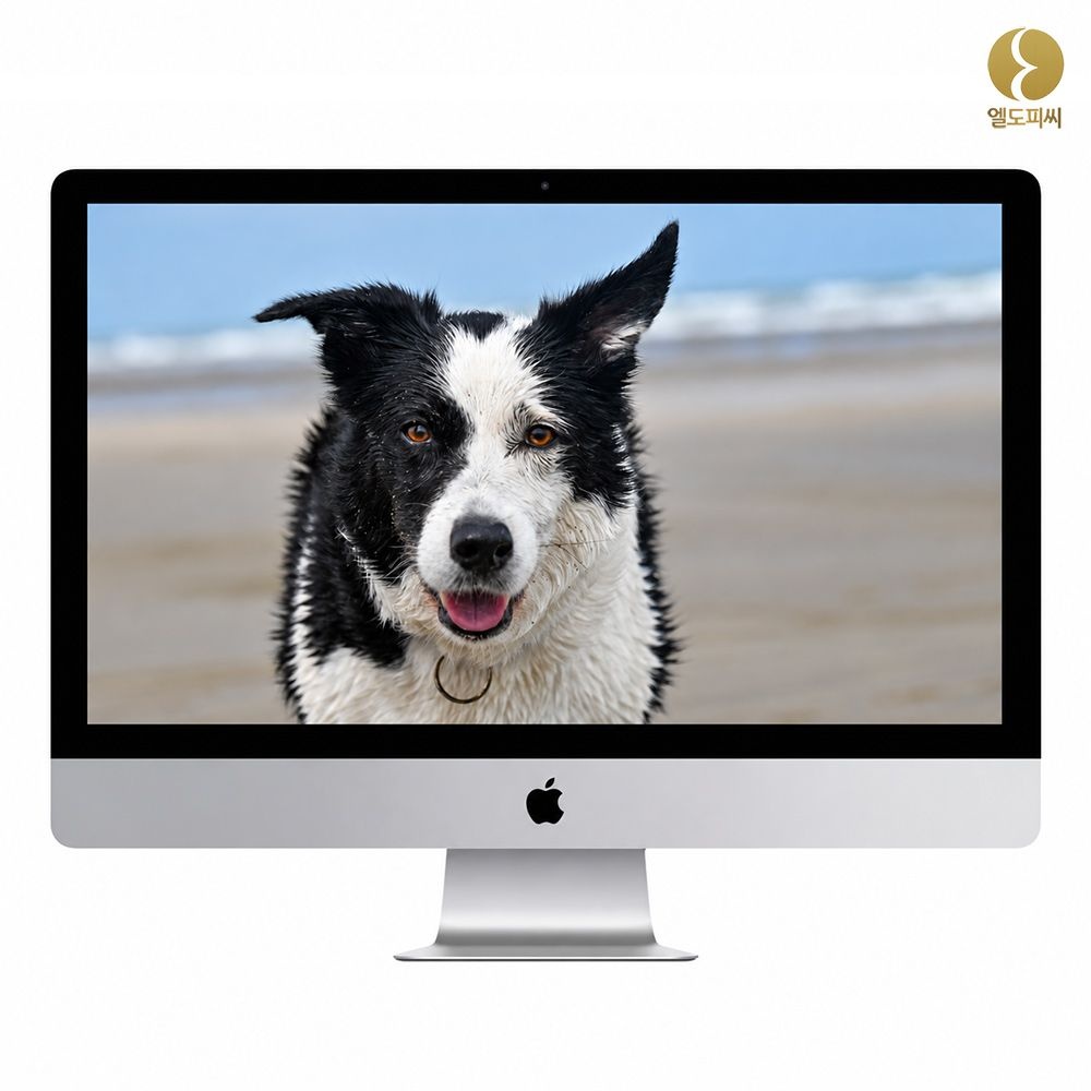 애플 [중고] Apple 애플 아이맥 A1419 27인치 i5-6500 16GB SSD 256GB Radeon R9 M380 일체형PC