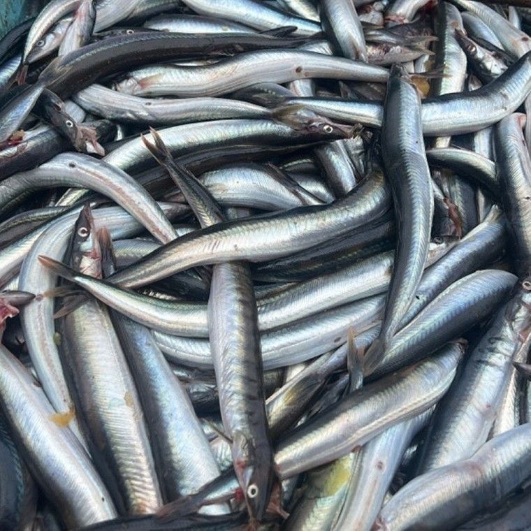 냉동 <b>양미리</b> 1kg