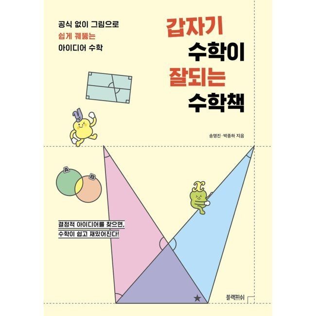 갑자기 수학이 잘되는 수학책 - 공식 없이 그림으로 쉽게 꿰뚫는 아이디어 수학 / 송명진,박종하
