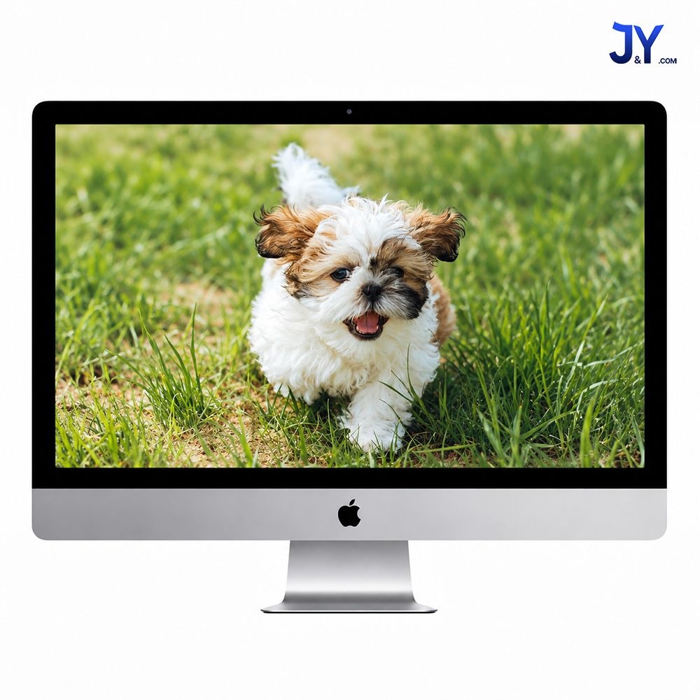 애플 [중고] Apple 애플 아이맥 A2115 i9-10910 32GB SSD 1TB 2020 27인치 5K Radeon Pro 5700 XT 올인원PC