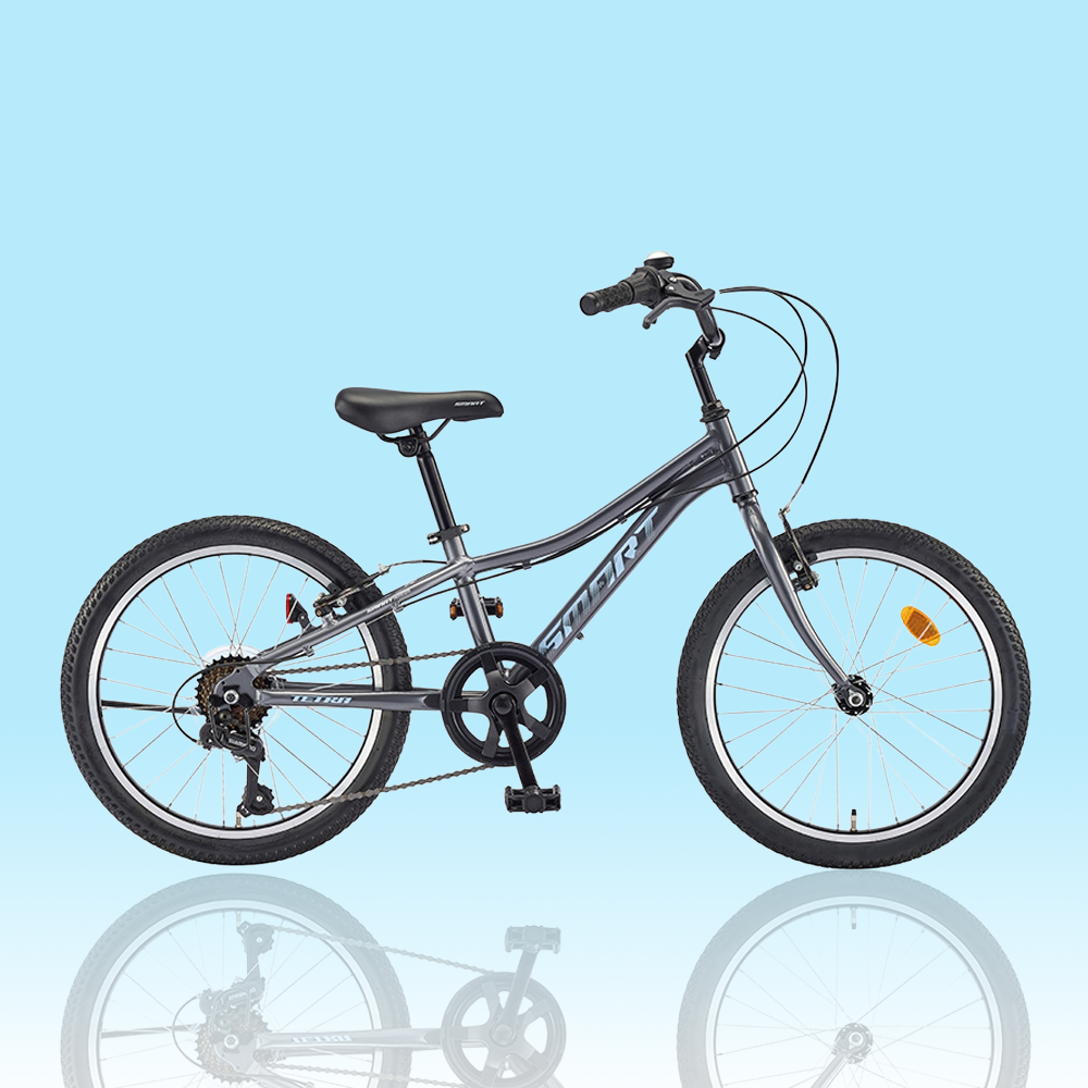 스마트 20 테트라 50.8cm(20인치) 초등학생 어린이 자전거 2026