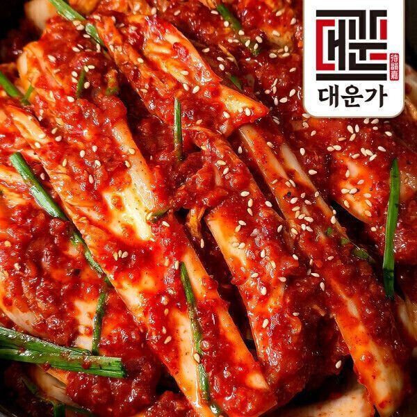 본가명인 신선집중 본가명인 국내산 배추 겉절이 김치 2kg 전재료 100% 국산 강원도 고랭지배추 당일생산 생김치 537485