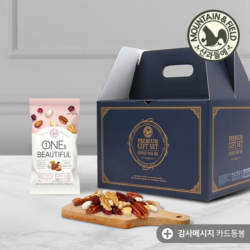 산과들에 피칸하루견과 원데이뷰티풀 100봉 선물세트 (견과선물)