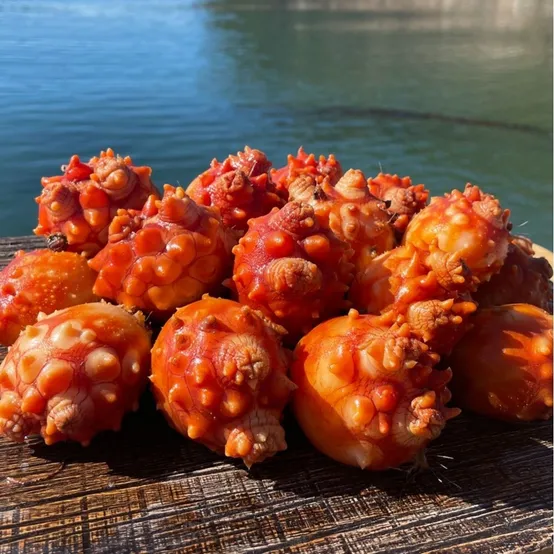 [이순신수산] 국내산 통영 제철 활멍게1kg  손질 깐 멍게 500g
