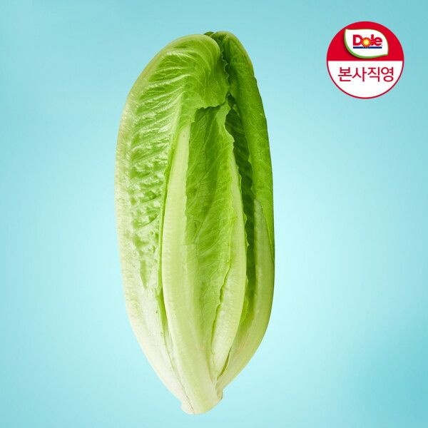 [돌] [Dole 본사직영] 알뜰형 로메인 1kg