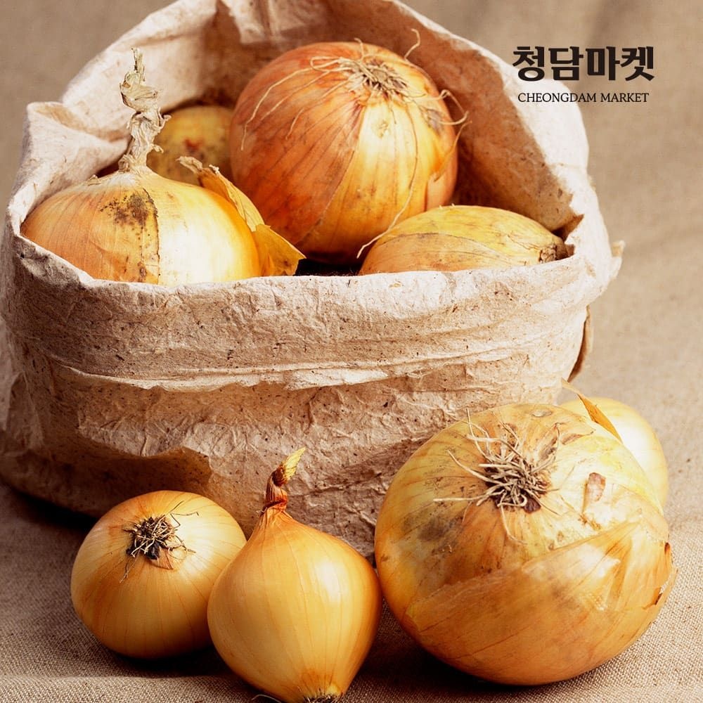 (현대Hmall) 국내산 저장 양파 3kg (소/100g이하)