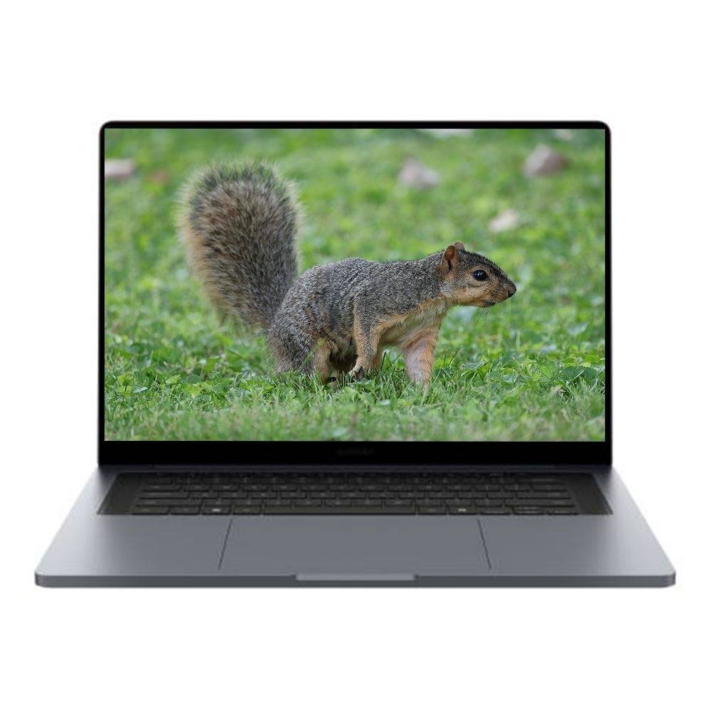 삼성전자 갤럭시북6 울트라 NT960UJG-KC72Y
