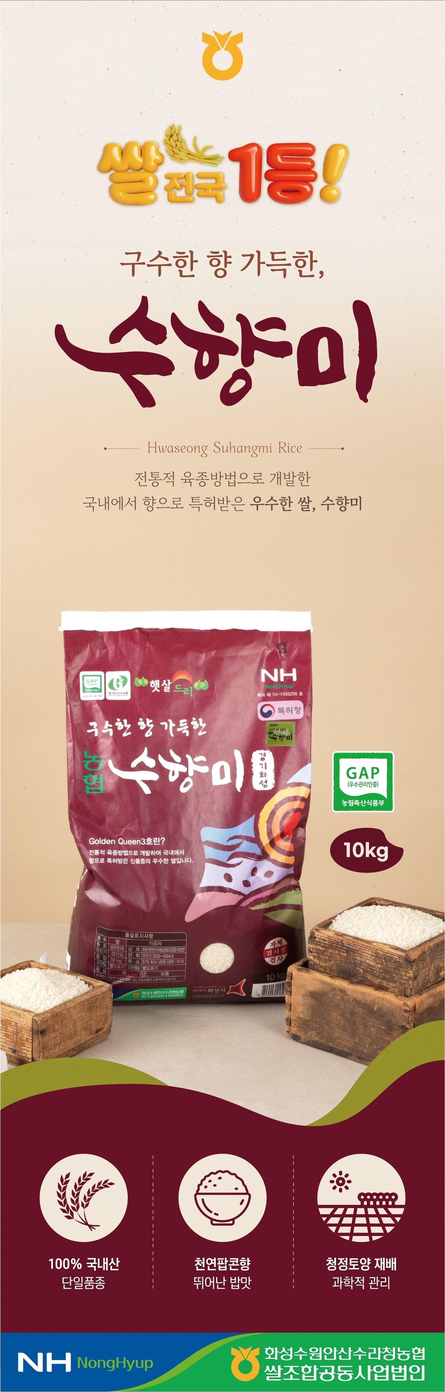 [오늘출발] [온누리상품] [수라청농협] 26년 햅쌀 골든퀸3호 구수한 향기나는 수향미 10kg