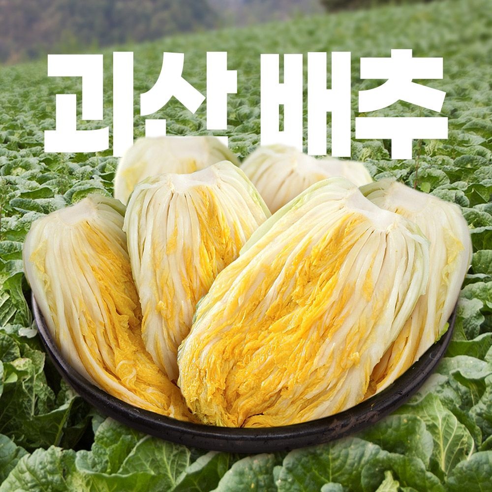 신우철농가外 [지정일 출고] 90일자란 괴산 절임배추 20kg