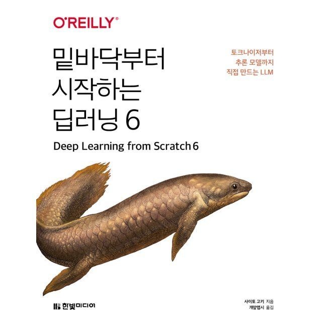 밑바닥부터 시작하는 딥러닝 6 - 토크나이저부터 추론 모델까지 직접 만드는 LLM / 사이토 고키,개앞맵시