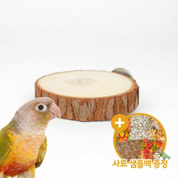 [올펫몰] 통나무 원형 평상(중) 앵무새 햄스터 휴식 횃대 쉼터