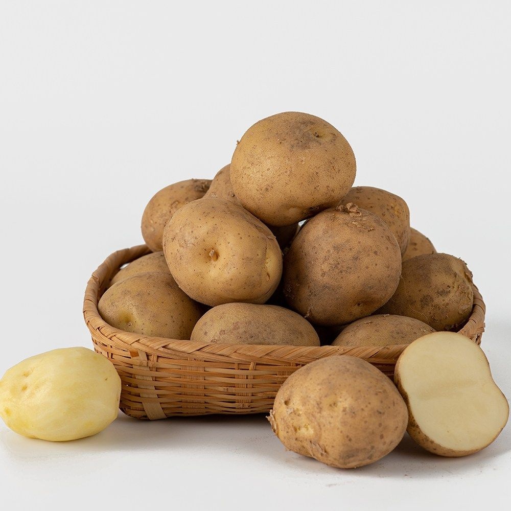 더자인 국내산 제철 포슬 경남 햇 감자 2kg/5kg
