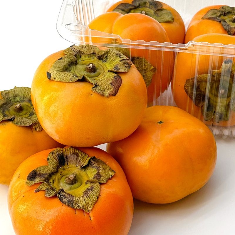 당찬 유명산지 경남 단감 2kg 3kg 골라담기
