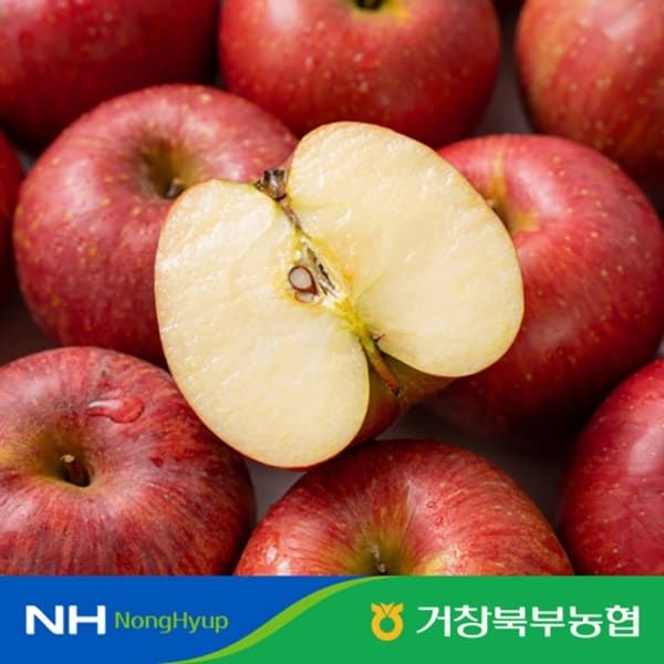 (현대홈쇼핑) 거창북부농협 특등급 햇 홍로 사과 4.5kg세트 (과당 215g250g)